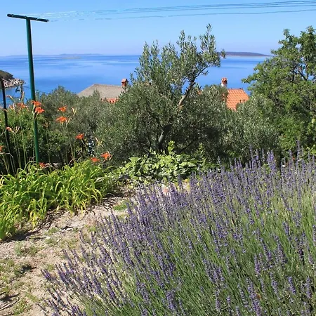 Seaside House Miholascica, Cres - 8073 Martinšćica